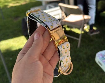 May include: A dog collar with a white background and a pattern of yellow lemons and blue flowers. The collar has a gold-colored metal buckle and a matching D-ring. The collar is held in a person's hand.