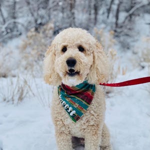 personalized dog bandana-southwest dog bandana-summer dog bandana-cute dog bandana-custom dog bandana-boho dog bandana
