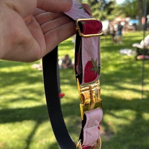 strawberry dog collar-cute dog collar-gold dog collar-summer dog collar-dog collar-handmade dog collar