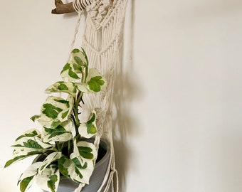 Beginner Macrame Plant Hanger Pattern: Lone Branch Tutorial (PDF)