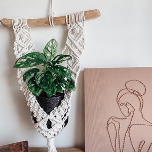 Macrame Pattern I RILEY I Plant Hanger Pattern, Beginner Macrame Photo Guide, Indoor Macrame Planter