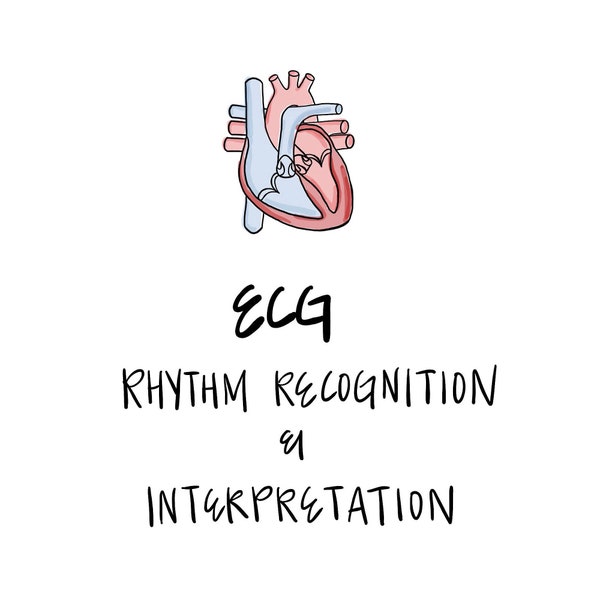 ONLY Nursing Cardiac Review You'll Need! Nursing Students, NCLEX, Icu, Heart Rhythms | ECG Recognition & Interpretation Packet (15 pages)