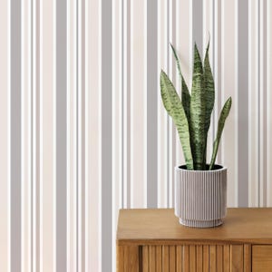 Carta da parati rimovibile - Carta da parati adesiva Stripe Taupe di design per un arredamento semplice, pareti decorative moderne e affitti