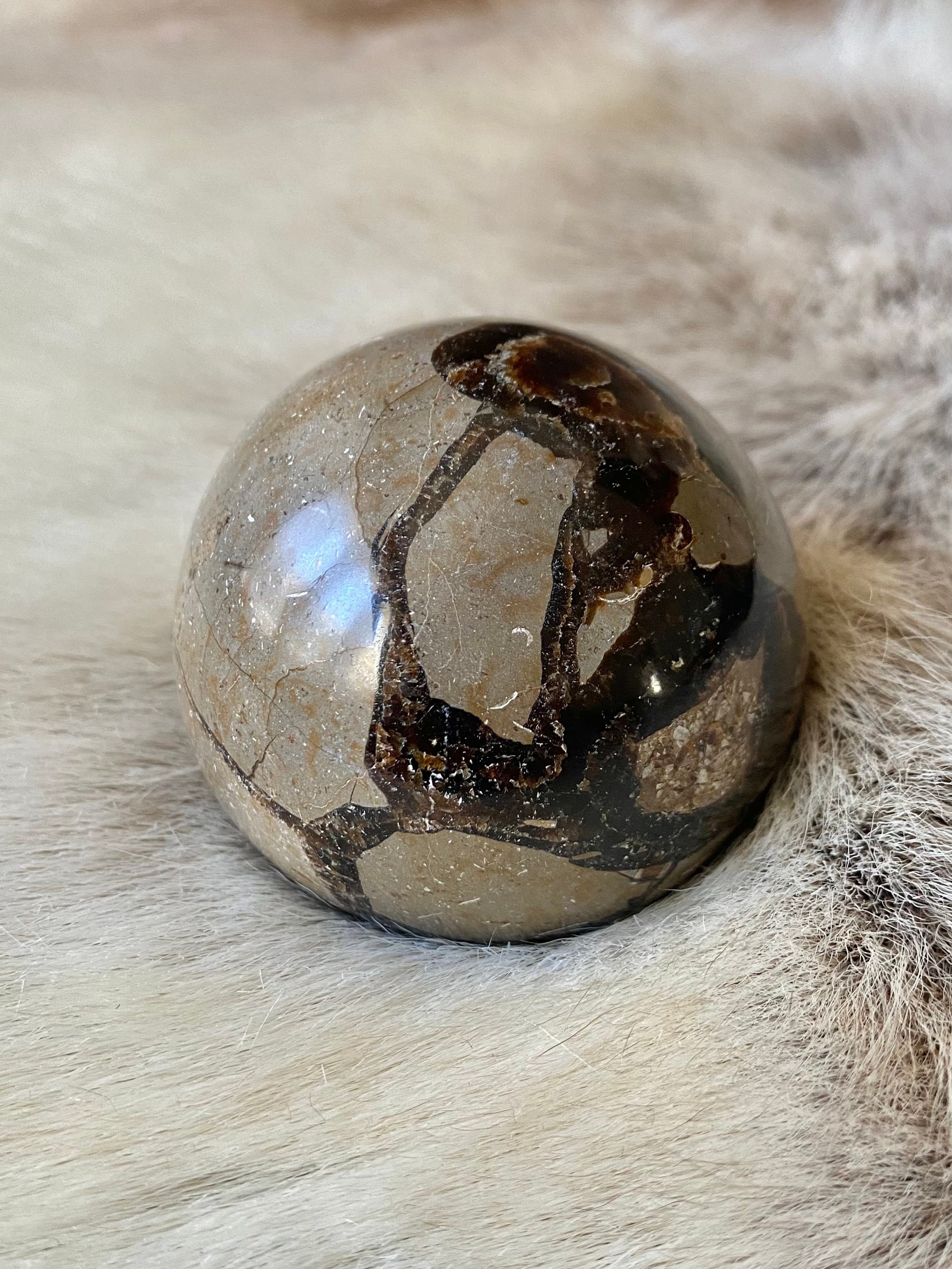 Sphère en Septaria/Septarian Ball