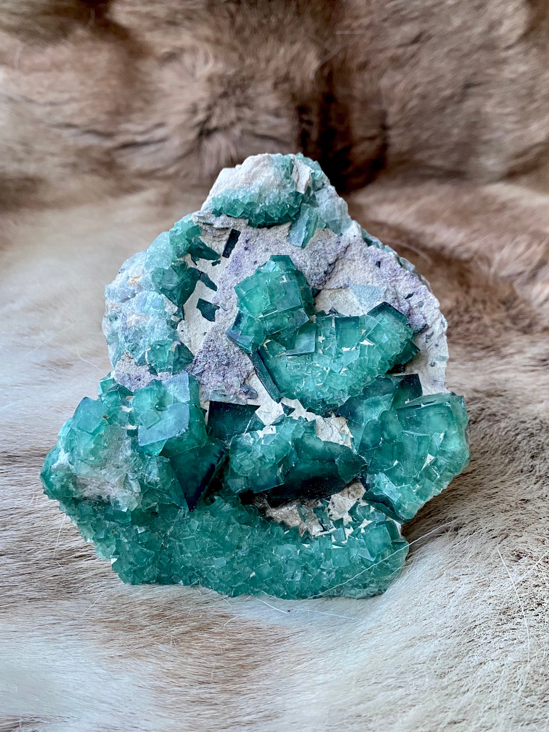 Druse de Fluorite/Géode Fluorine