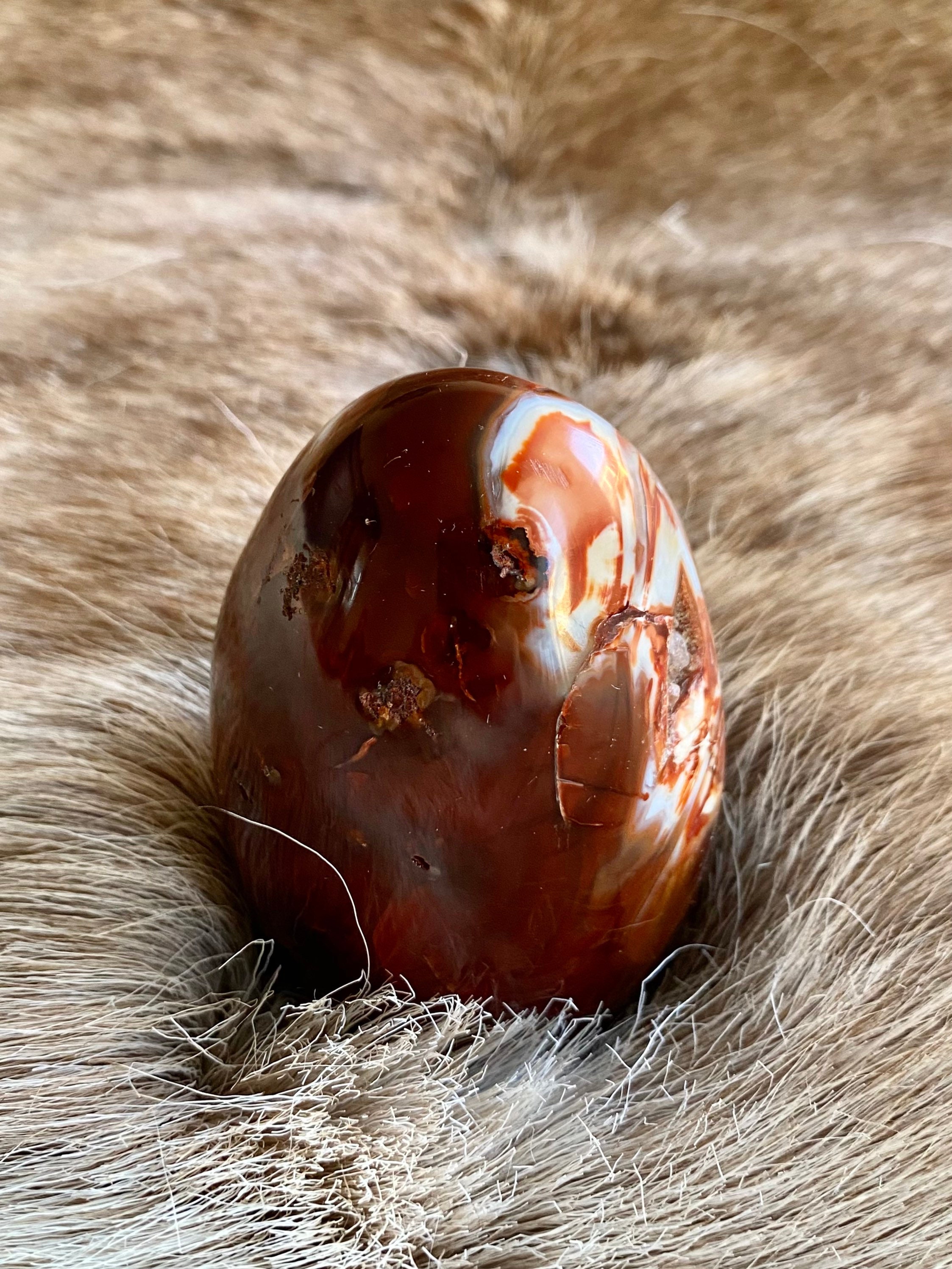 Forme Libre en Cornaline/Carnelian Free Form