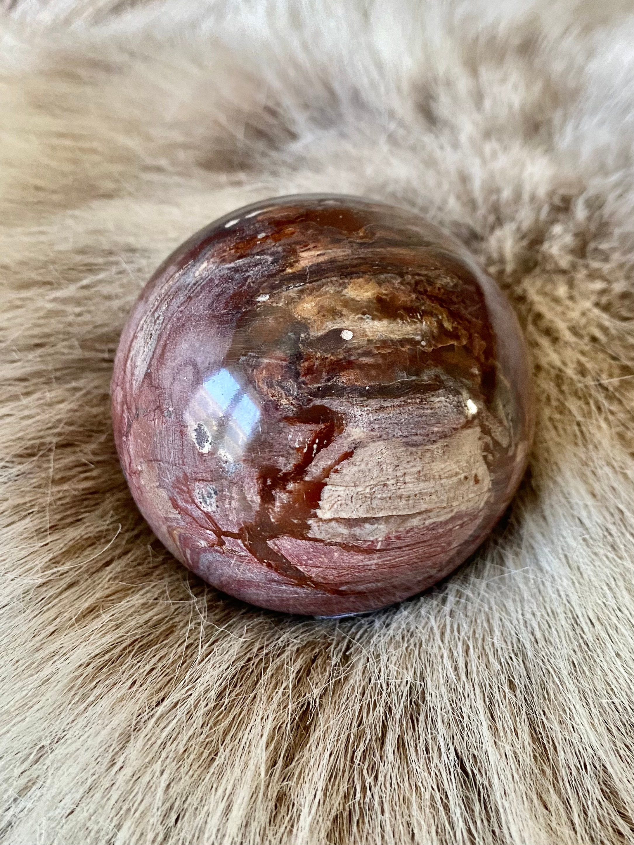 Sphère en Bois Fossile