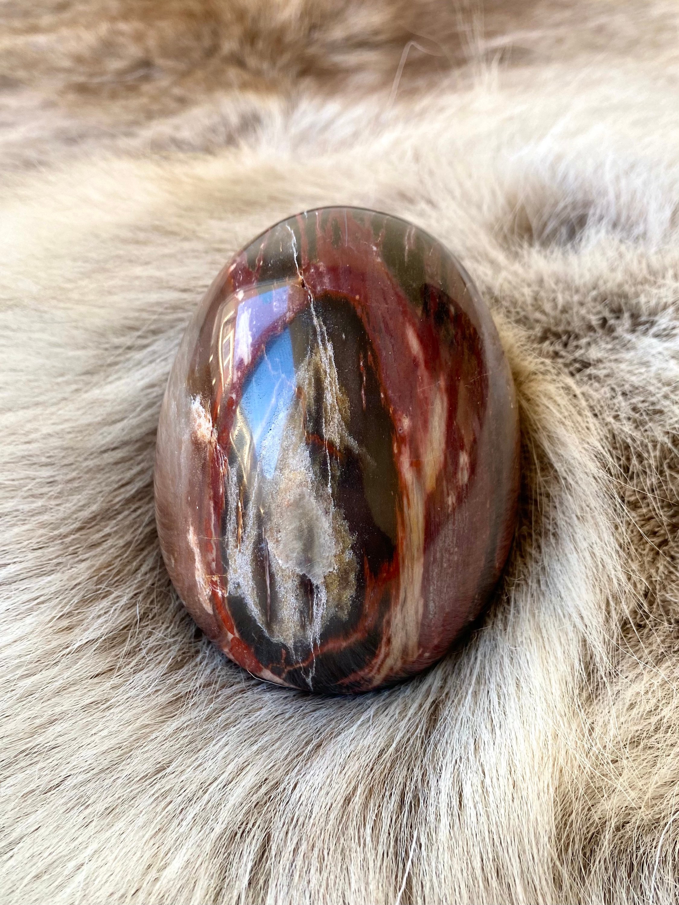 Bois de Roses Fossilisé - Œuf en Pierre