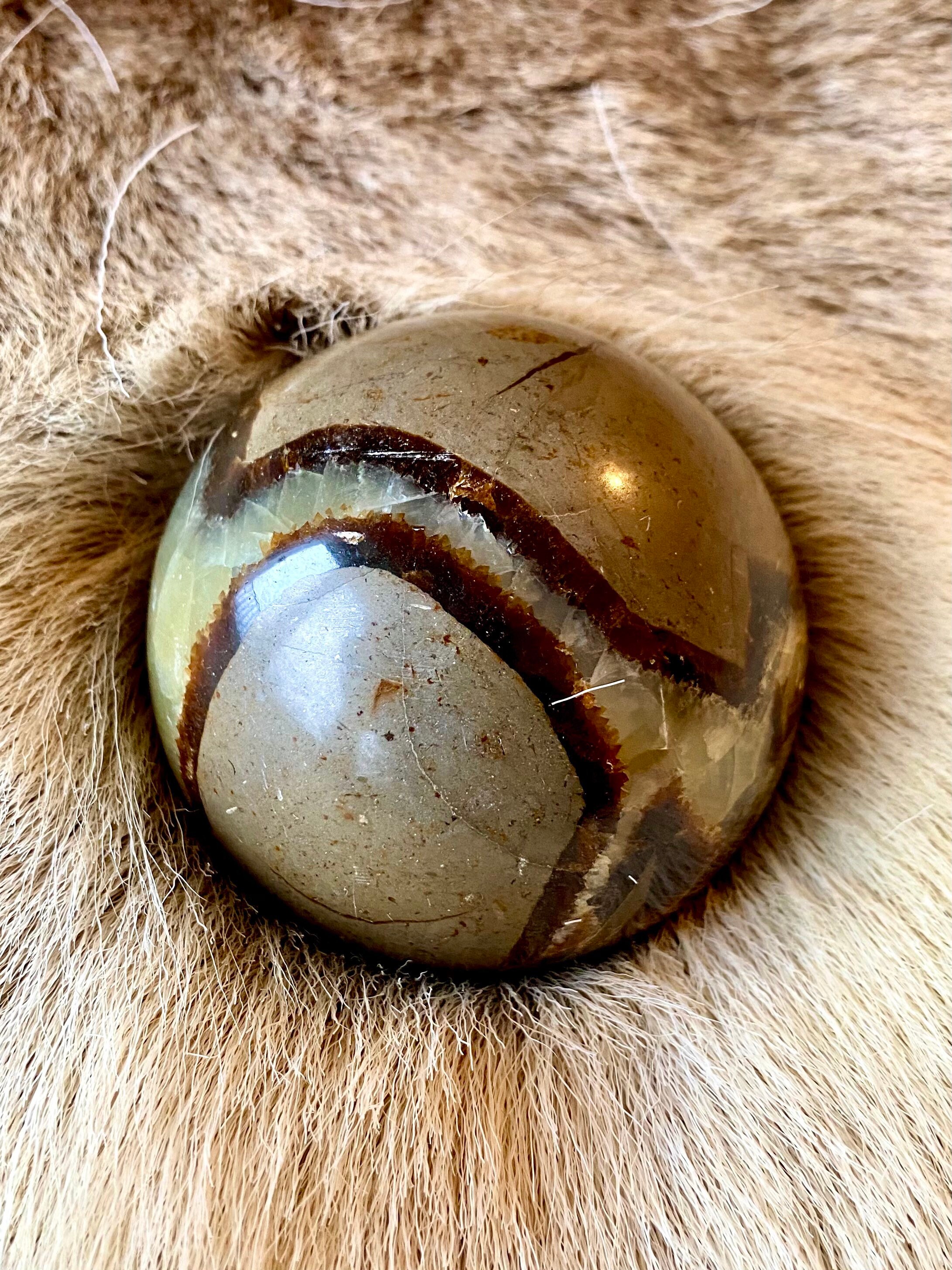 Sphère en Septaria/Septarian Ball
