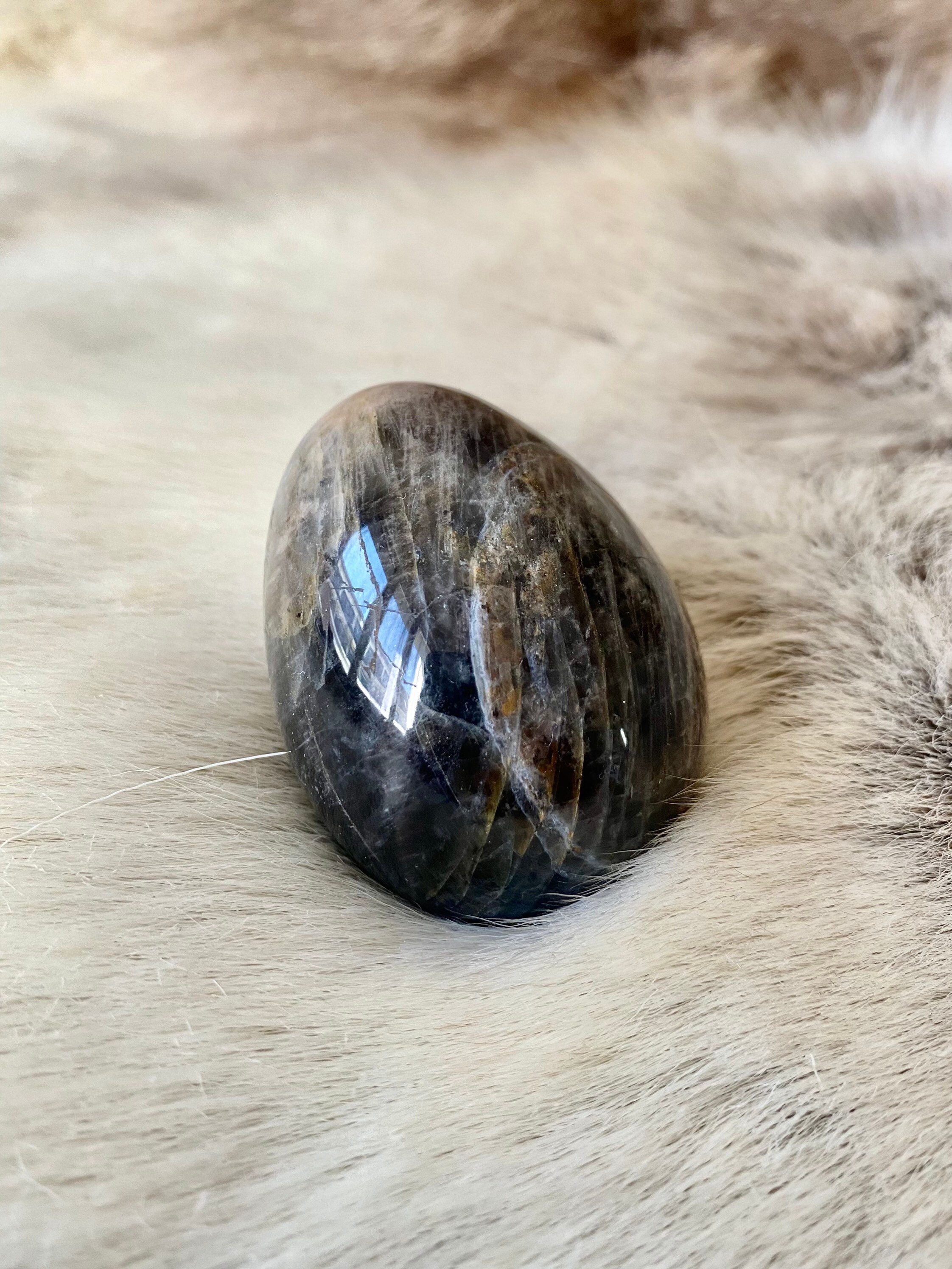 Pierre de Lune Noire - Œuf en Pierre