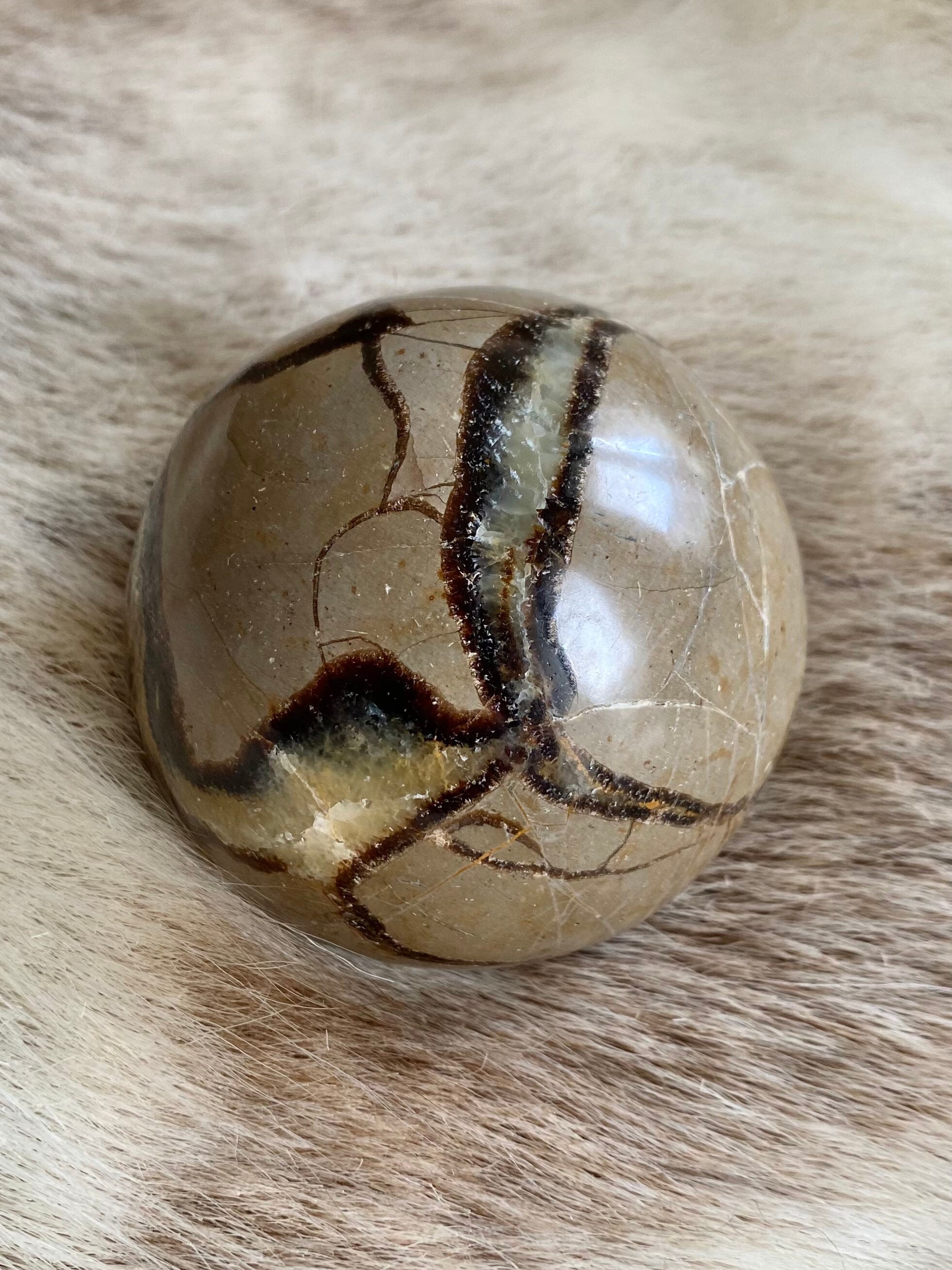 Sphère en Septaria/Septarian Ball
