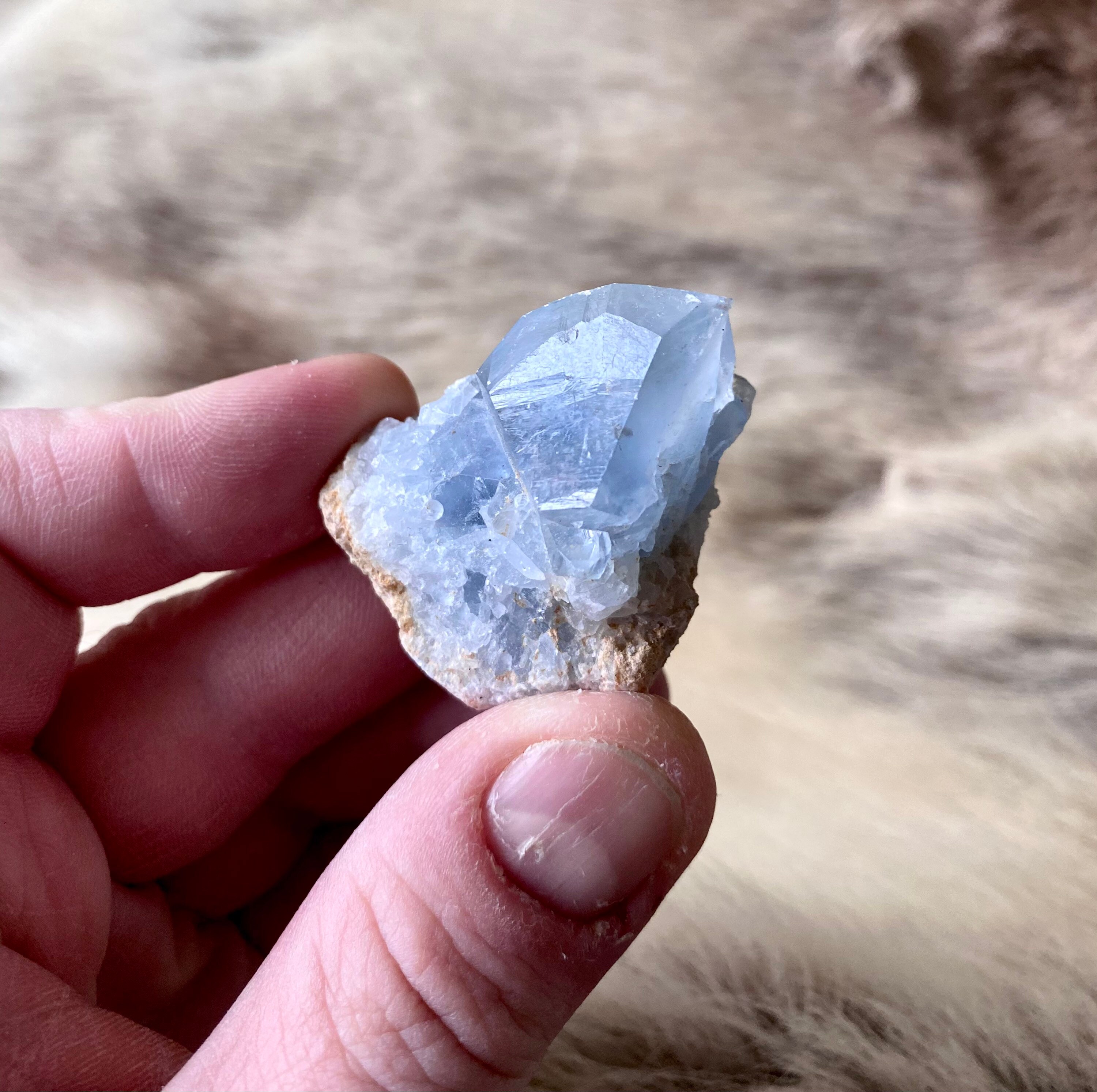 Célestine Brute Naturelle/Raw Natural Celestine