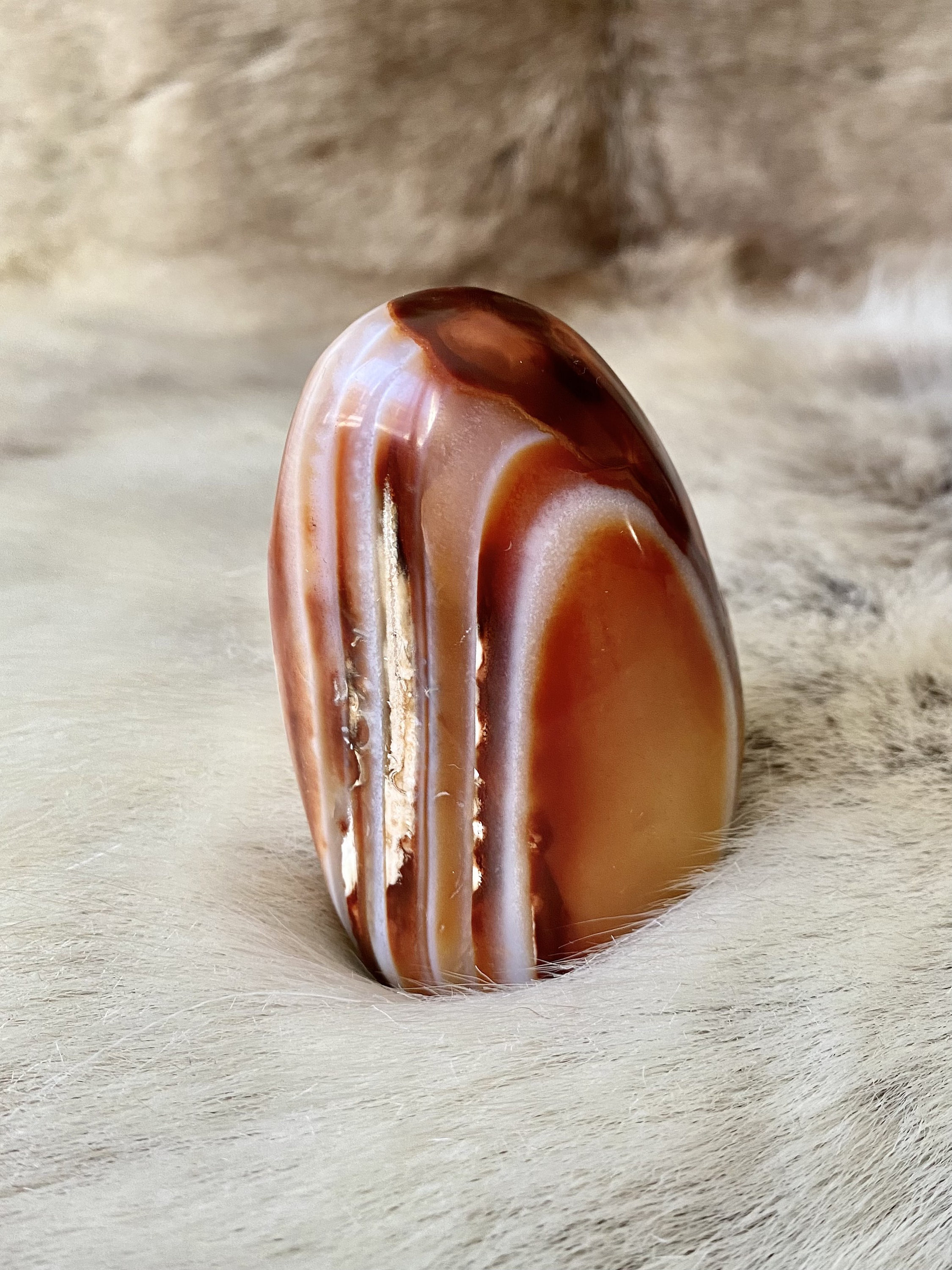 Forme Libre en Cornaline/Carnelian Free Form