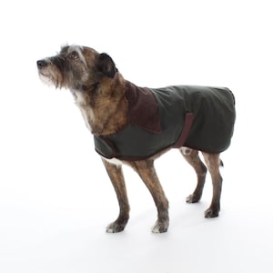 Hund Gewachster Mantel PDF Schnittmuster Größen XXS bis 3XL (8 Größen) Sofort Download