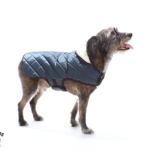 Dog Quilted Coat PDF Sewing Pattern Sizes XXS To 3XL (8 Sizes) Instant Download