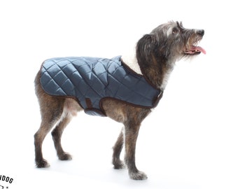 Dog Quilted Coat PDF Sewing Pattern Sizes XXS To 3XL (8 Sizes) Instant Download