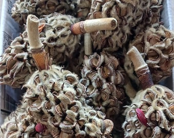 Organic Southern  Crafting Magnolia Seed Pods