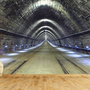 Train Tunnel Photo Wallpaper / Treintunnel Fotobehang / Zugtunnel Fototapete / Foto Papel Tapiz / Poster