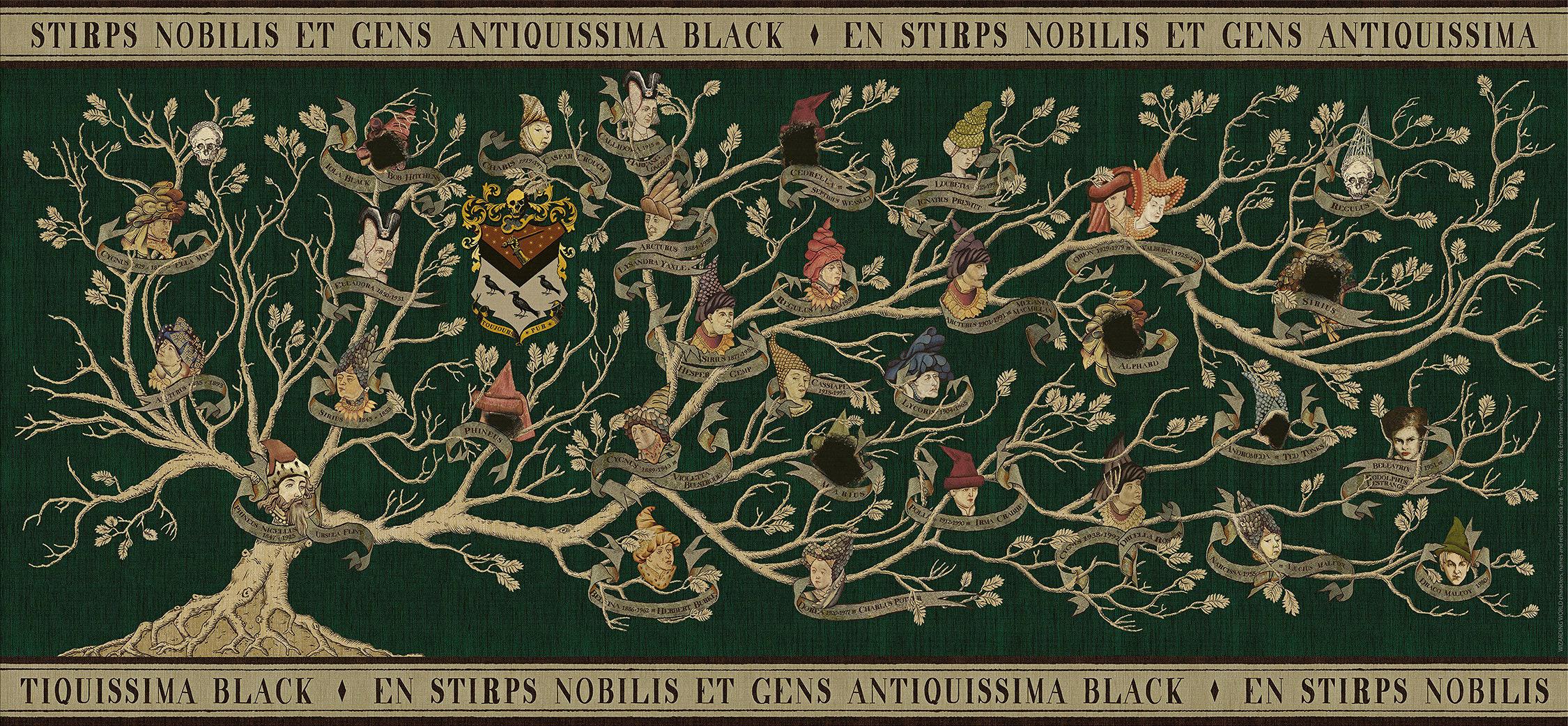 Carta da parati murale con albero genealogico nero, poster del mondo magico e decorazione da parete - Italia