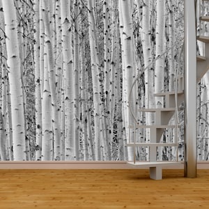 Poplar Tree 3D Wall Mural / Populierboom 3D Fotobehang / Pappelbaum 3D Wandbild / Foto Papel Tapiz / Poster