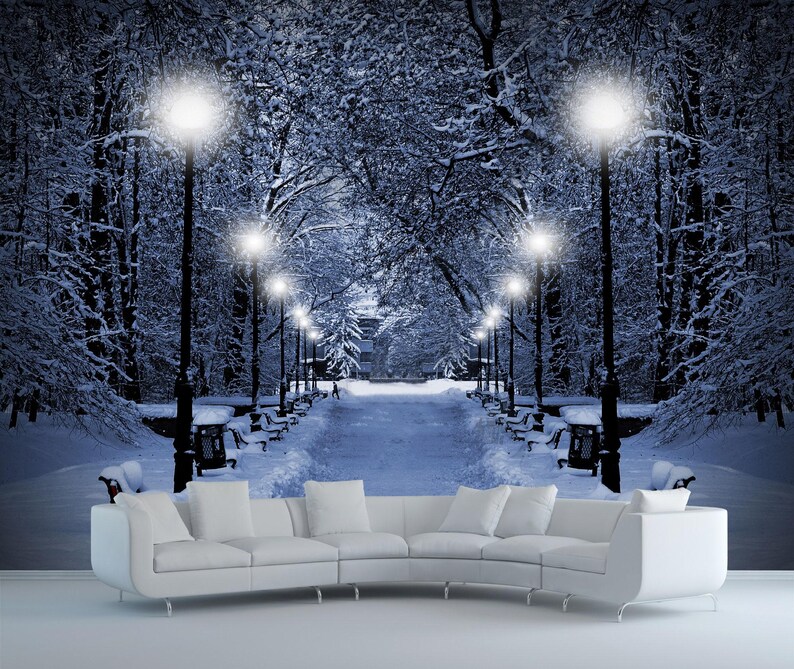 Winter Snow Park Wallpaper, Night Forest Landscape Mural, Living Room ...
