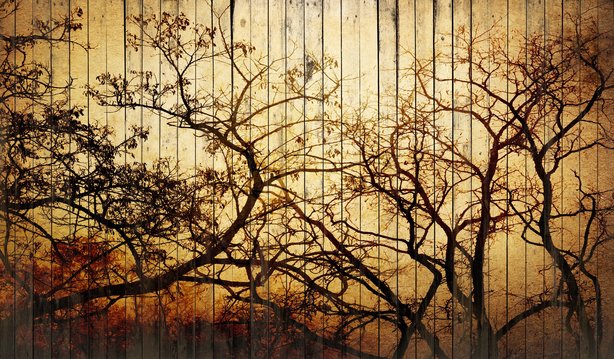 Art on A Wooden Board Wall Mural / Kunst Op Een Houten Bord