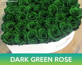 Dark Green Rose Seeds