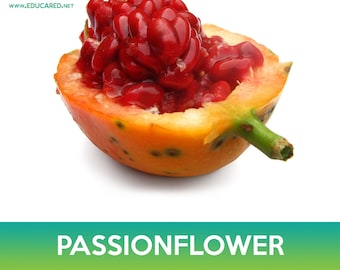 Passionflower Seeds (~20 Seeds)