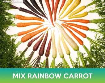 Rainbow Carrot Mix Seeds