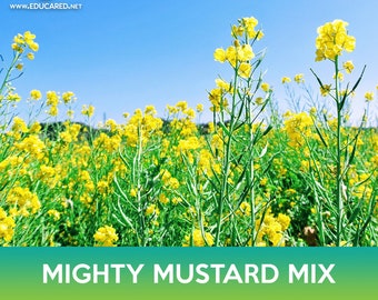 Mighty Mustard Mix Seeds