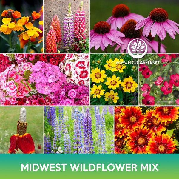 Midwest Wildflower Mix Seeds