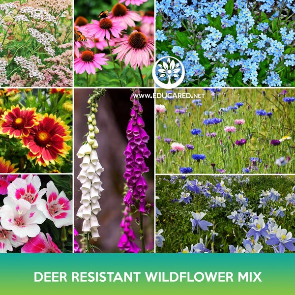 Deer Resistant Wildflower Mix Seeds, 2 Grams of Seeds