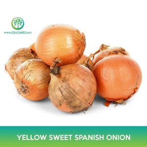 Yellow Sweet Onion Seed