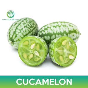 Cucamelon Seed, Mouse Melon