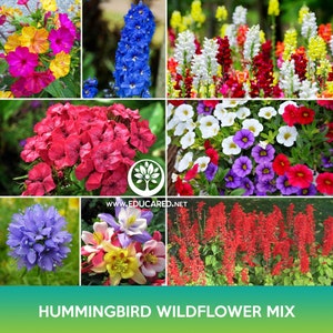 Hummingbird Wildflowers Mix Seeds, 2 Grams of Seeds