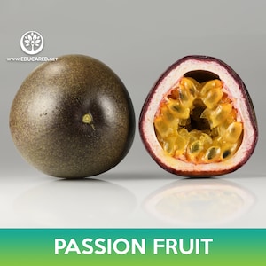 Passion Fruit Seeds