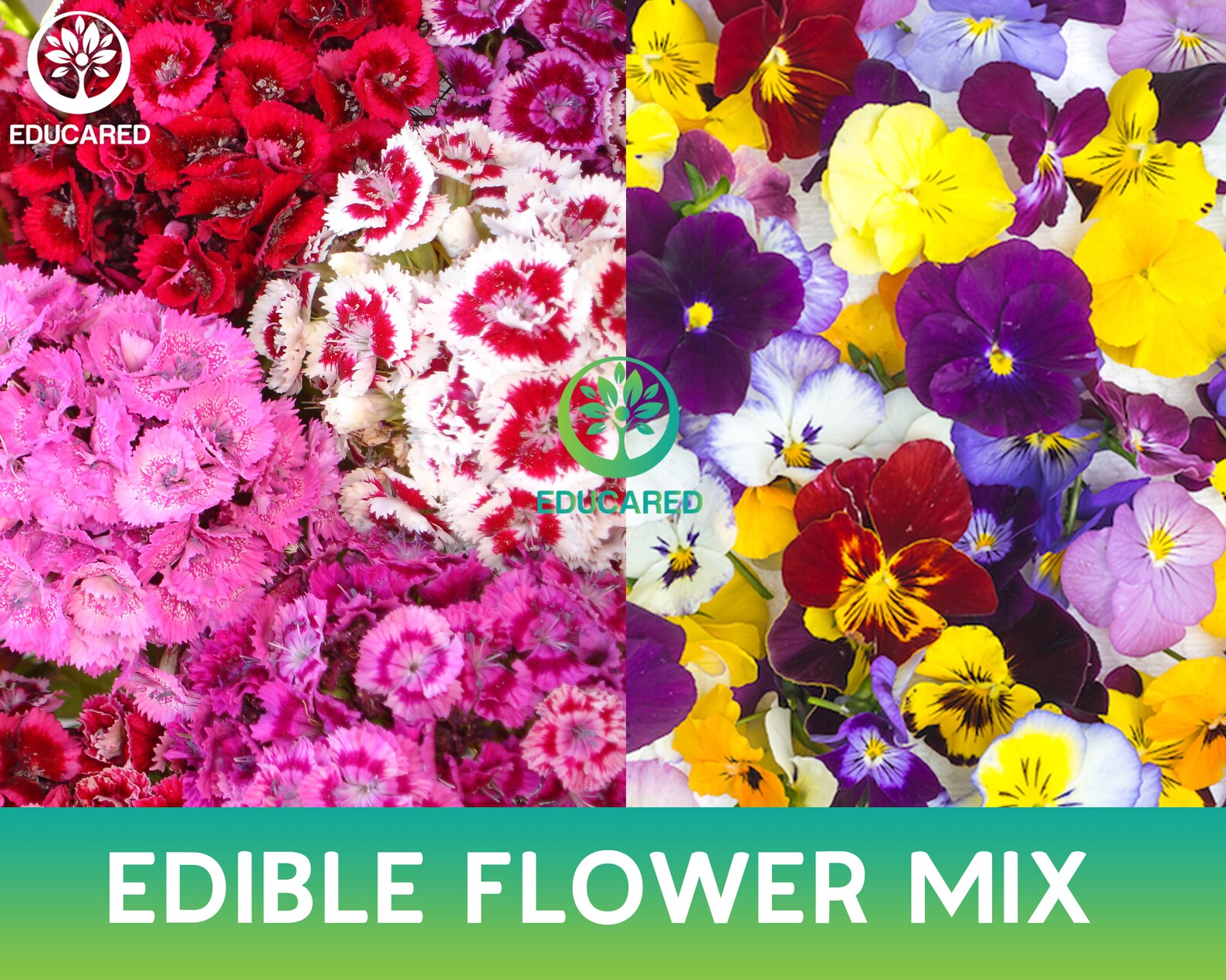 Edible Wildflowers Mix Organic Seeds Flower Seeds Annual Etsy Ireland