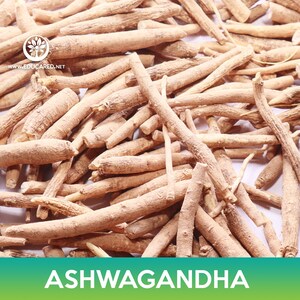May include: A close-up image of dried Ashwagandha root, a popular herb used in traditional medicine. The roots are light brown and have a slightly rough texture.