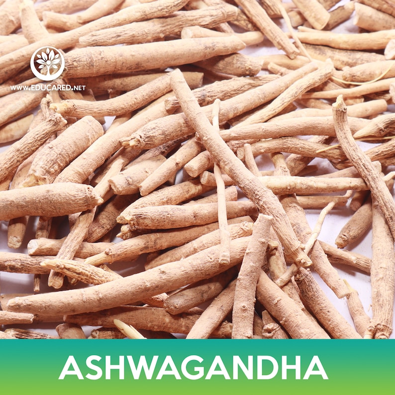 May include: A close-up image of dried Ashwagandha root, a popular herb used in traditional medicine. The roots are light brown and have a slightly rough texture.
