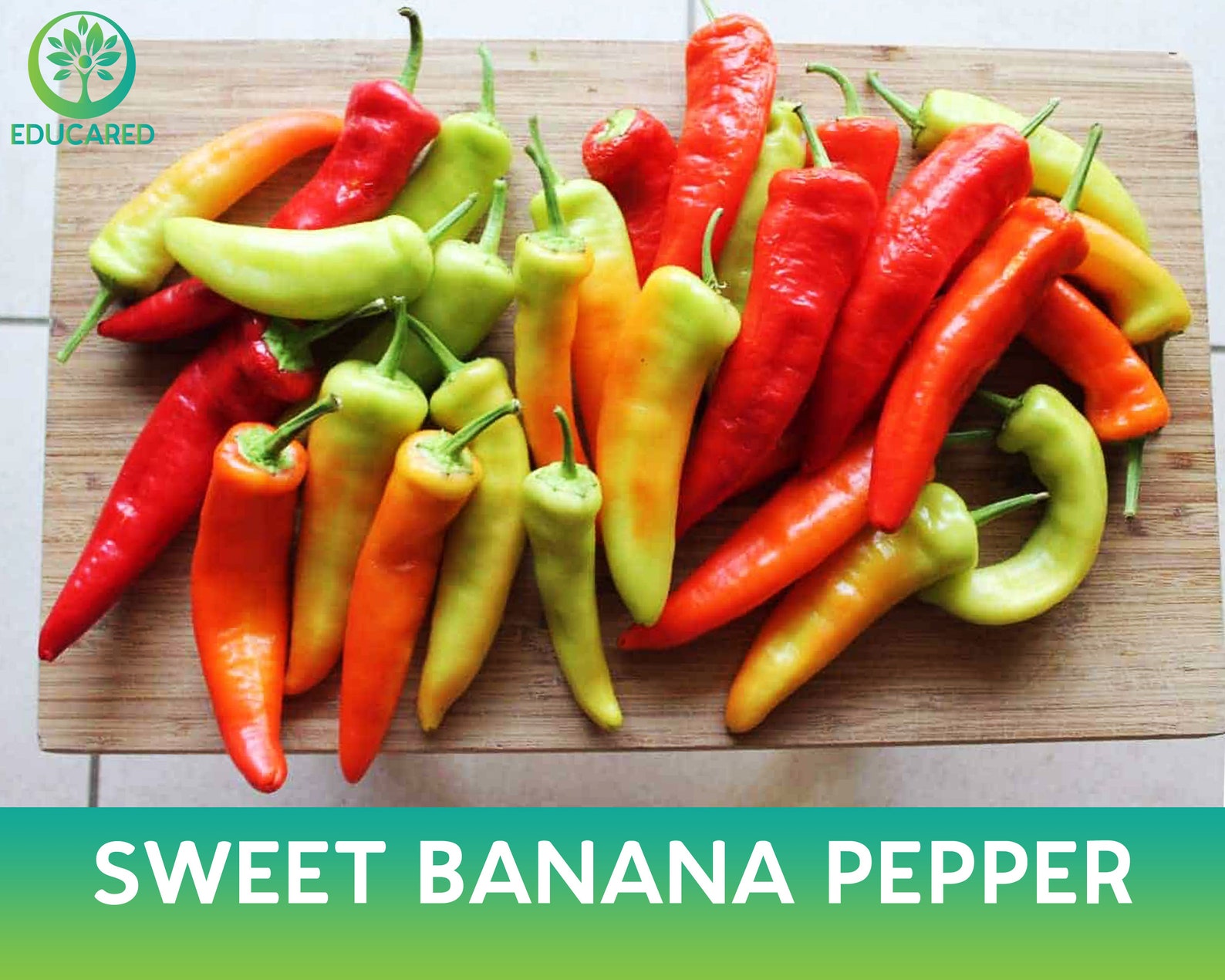 Sweet Banana Pepper Organic Seed Vegetable Seeds Shrub Etsy Australia