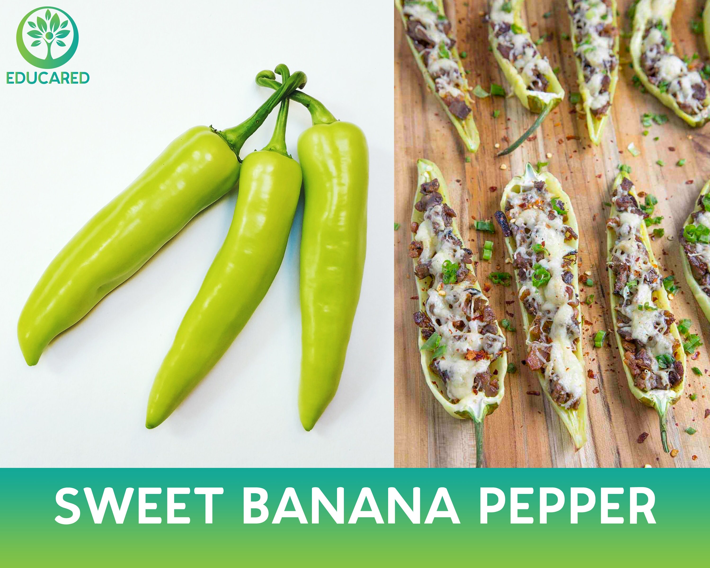 Sweet Banana Pepper Organic Seed Vegetable Seeds Shrub Etsy Australia