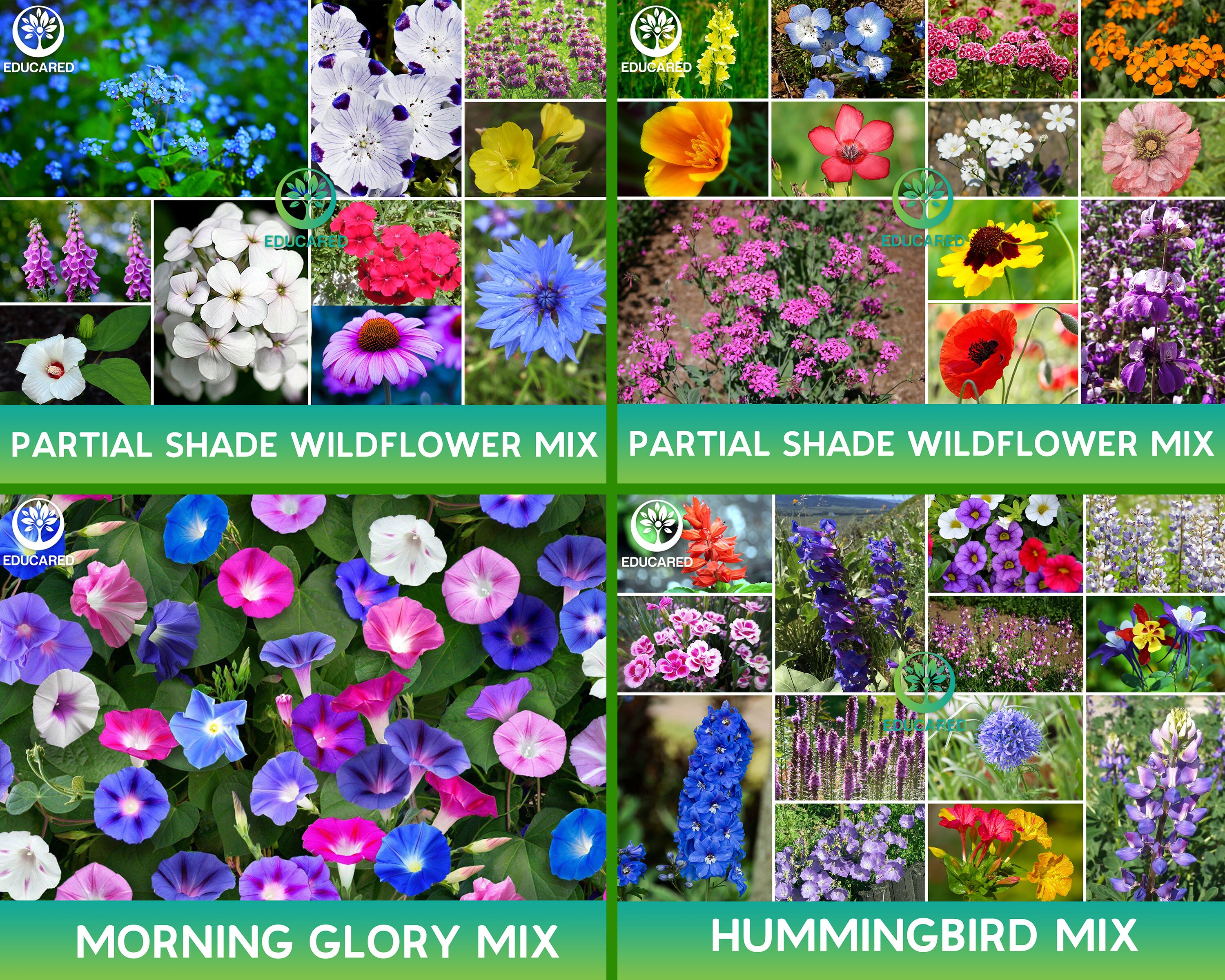 All Perennial Wildflower Mix Organic Seeds Flower Seeds Etsy