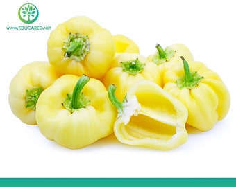 White Bell Pepper Seeds