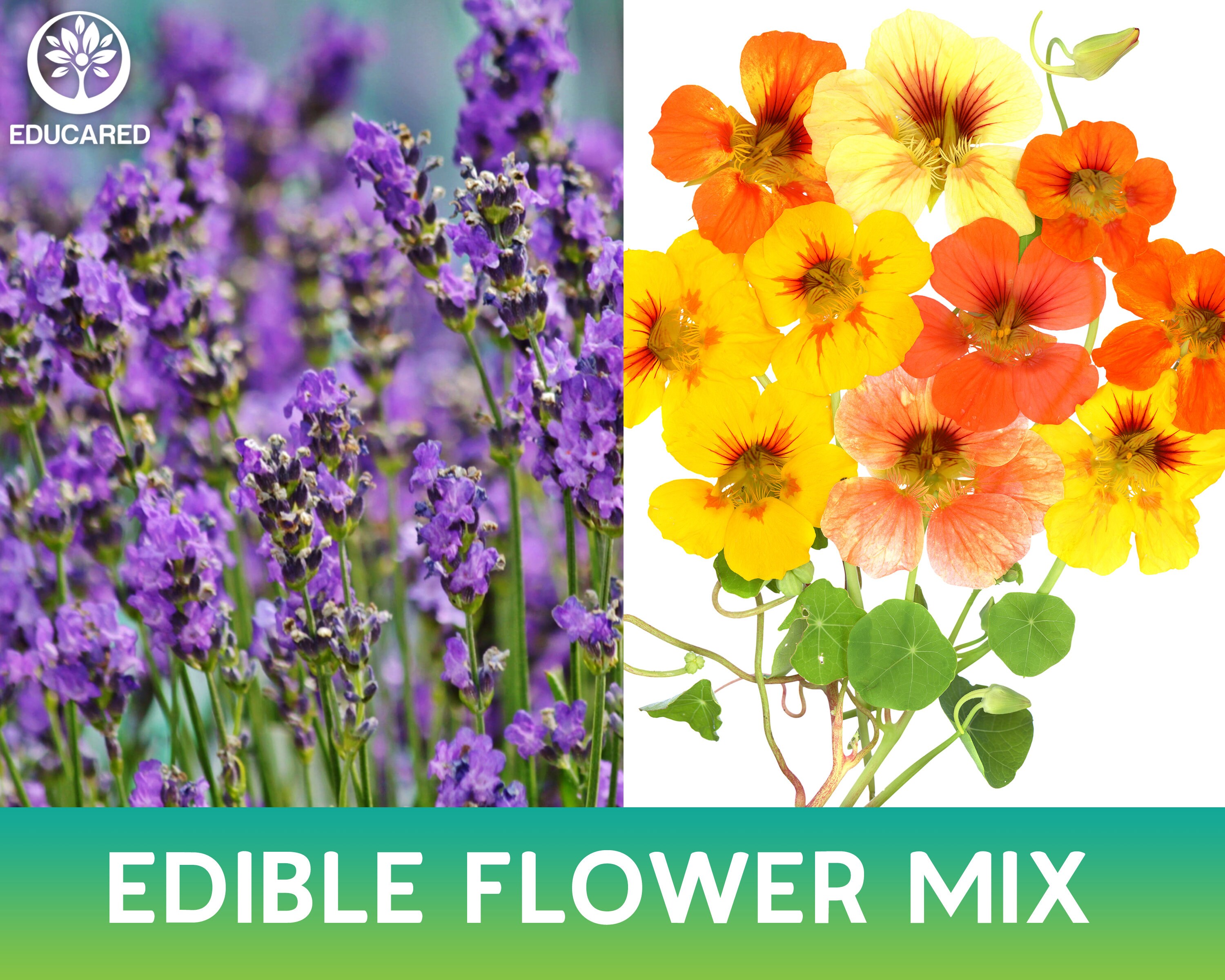 Edible Wildflowers Mix Organic Seeds Flower Seeds Annual Etsy Ireland