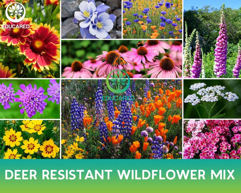 Deer Resistant Wildflower Mix Organic Seed Flower Mix Blend Etsy