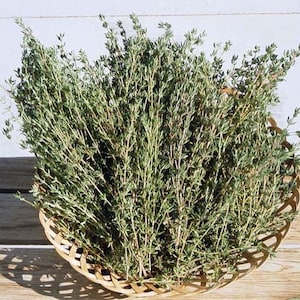 May include: A wicker basket overflowing with fresh thyme. The thyme has small green leaves and slender stems. The basket is made of light brown woven material and rests on a wooden surface.
