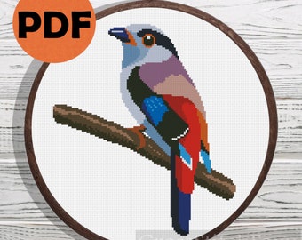 Bird cross stitch patterns PDF, small bird silver breasted broadbill counted cross stitch, animal cross stitch pattern