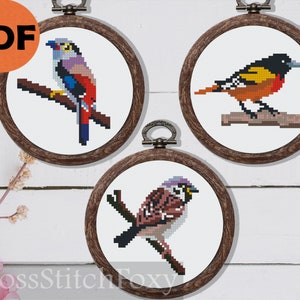 Sparrow Oriole cross stitch patterns PDF, Tiny Birds Cross Stitch Pattern, small cross stitch