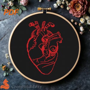 Anatomical Heart Cross Stitch Pattern  (PDF Download)