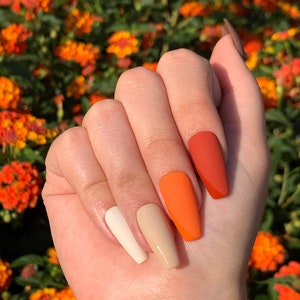 Hello Fall | Press on nails
